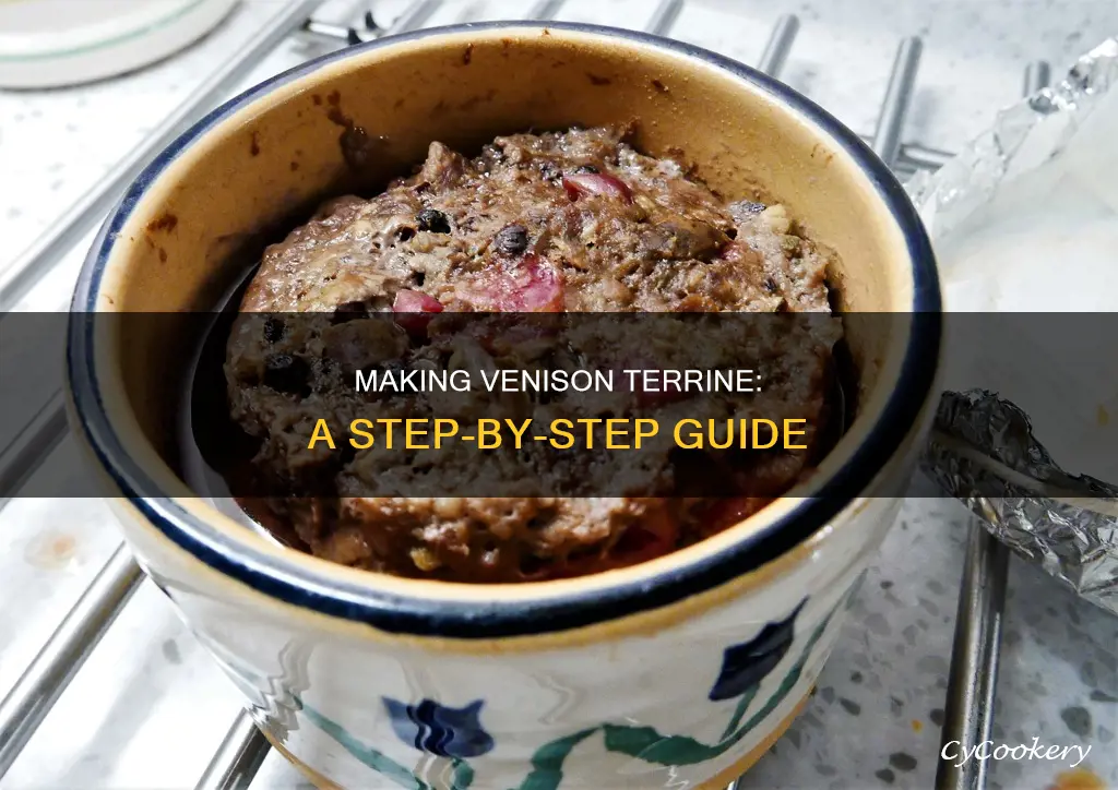 how to make venison terrine