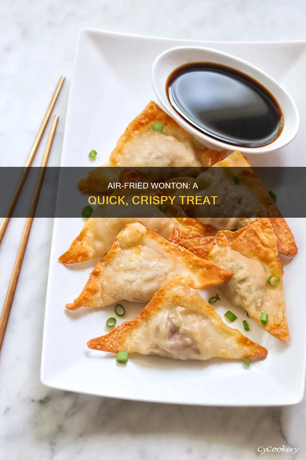 how to make wonton in air fryer