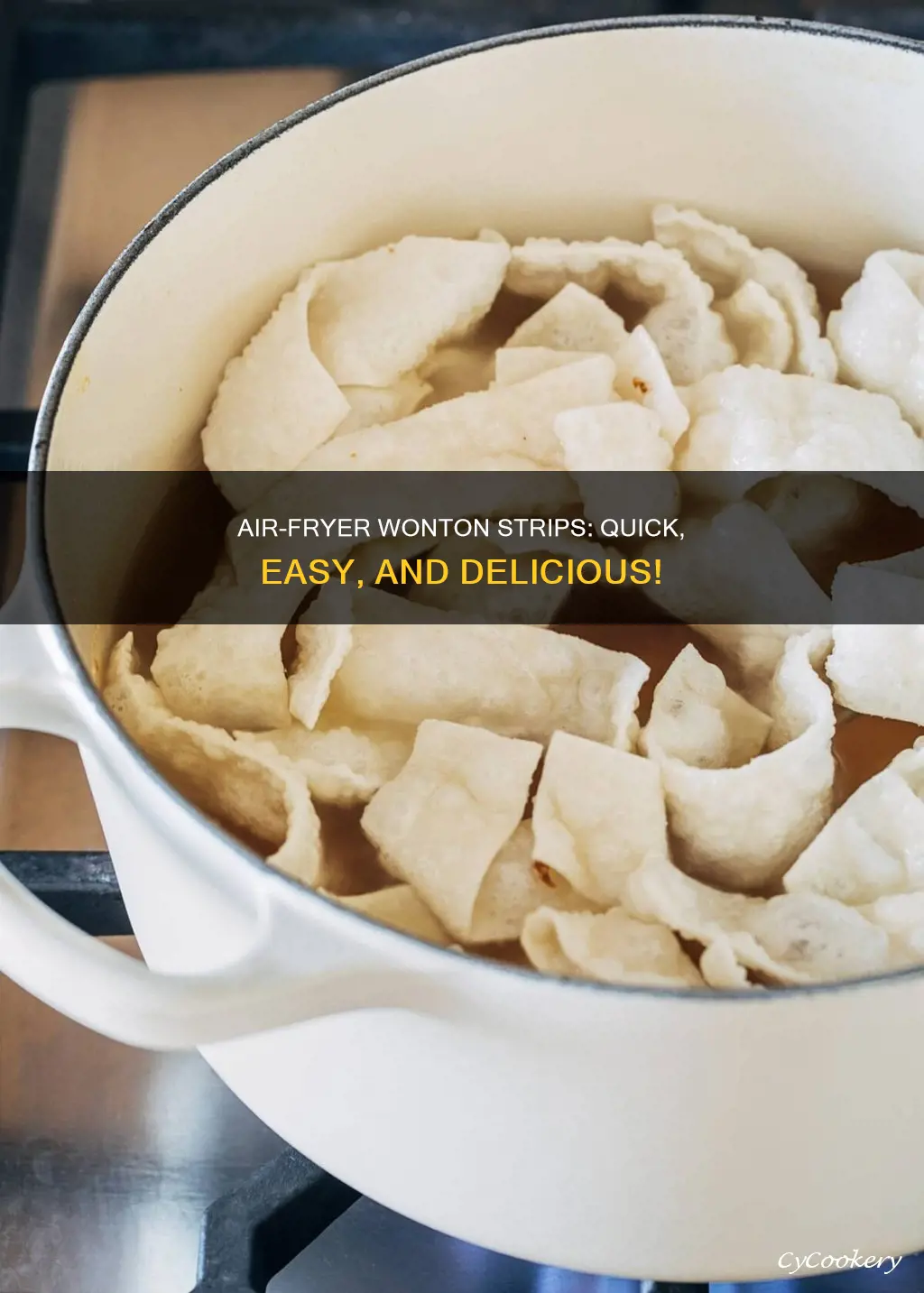 how to make wonton strips in air fryer