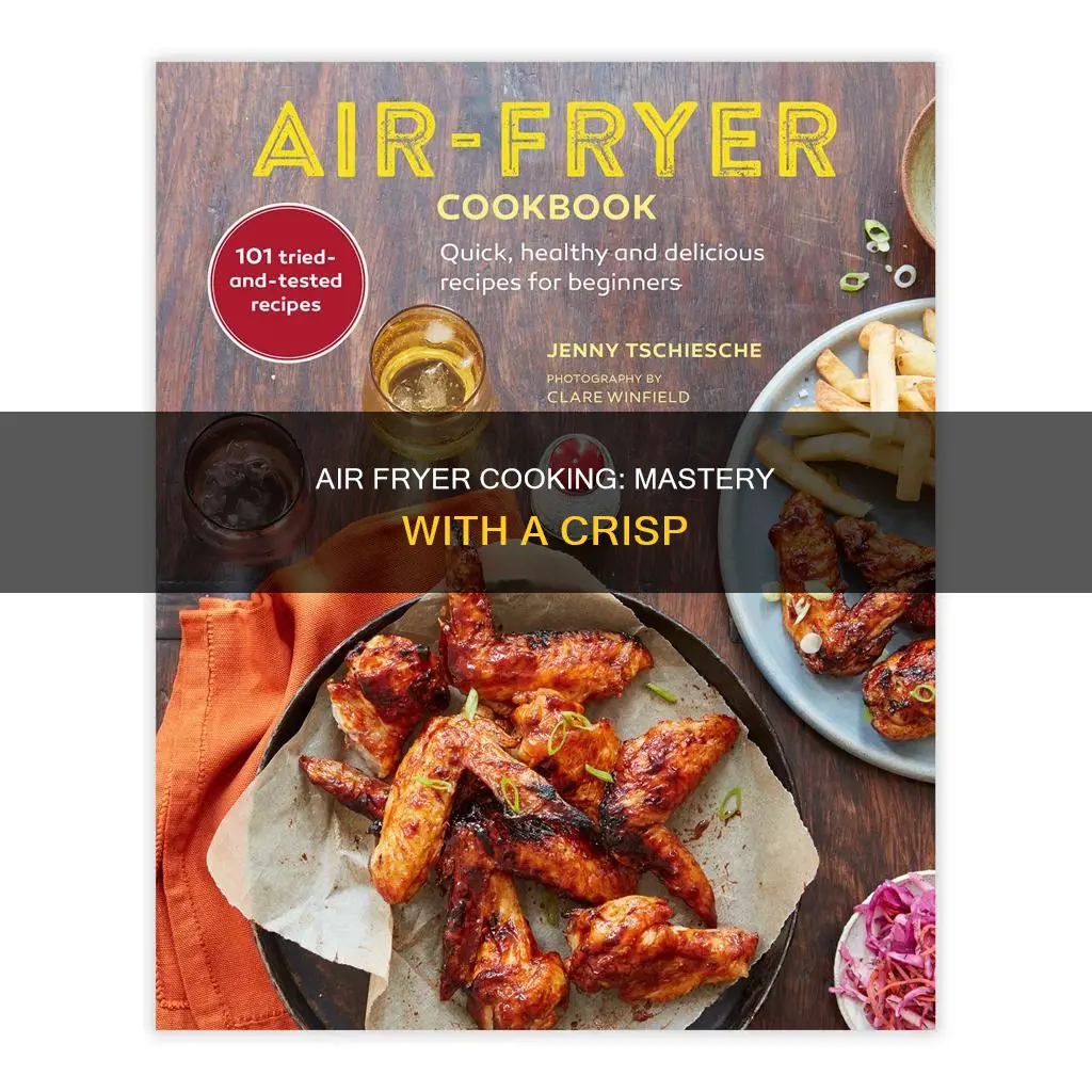 how to master air fryer cooking book