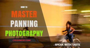 Mastering the Art of Panning Photography
