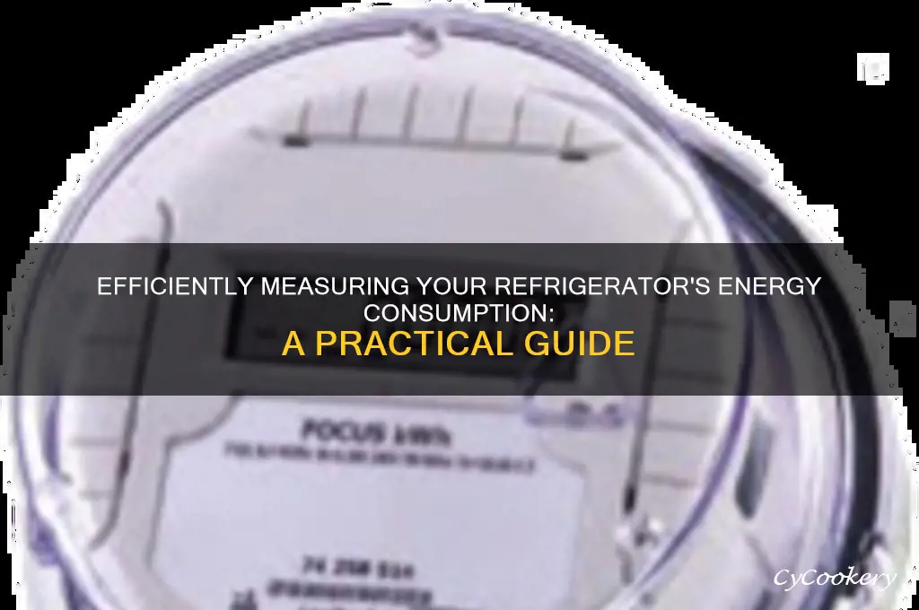 how to measure energy consumption of refrigerator