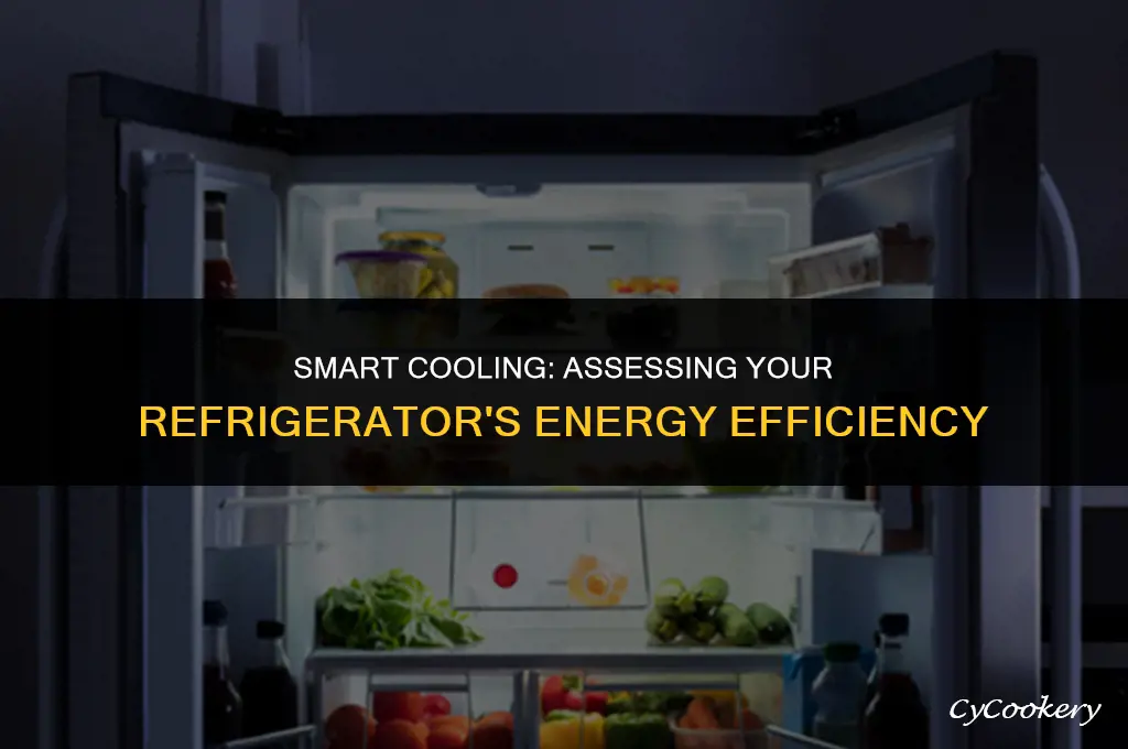 how to measure energy efficiency of your refrigerator
