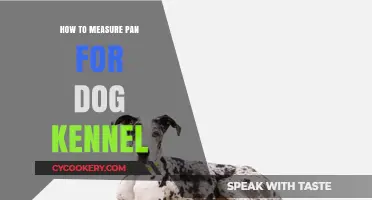 Measuring Your Dog's Pan for Their Kennel