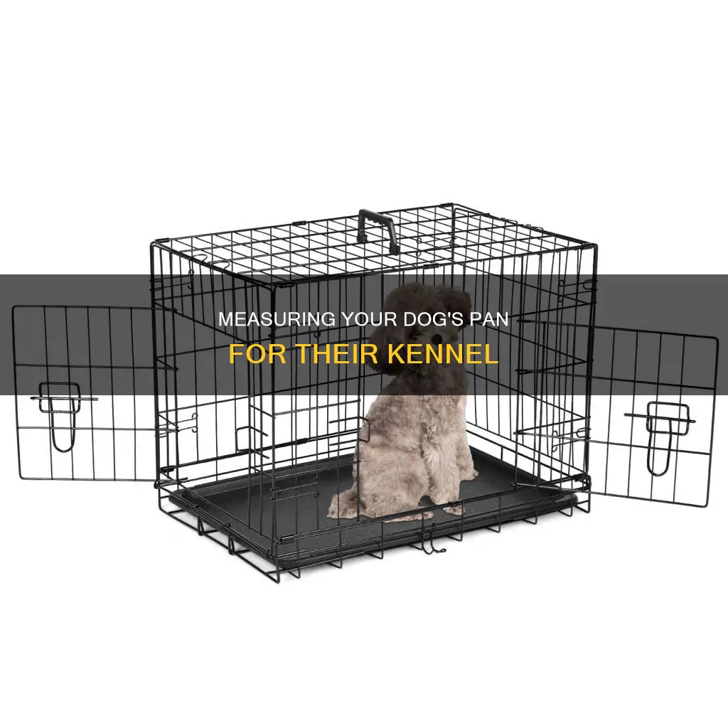 how to measure pan for dog kennel