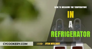 Chill Check: Mastering the Art of Refrigerator Temperature Measurement