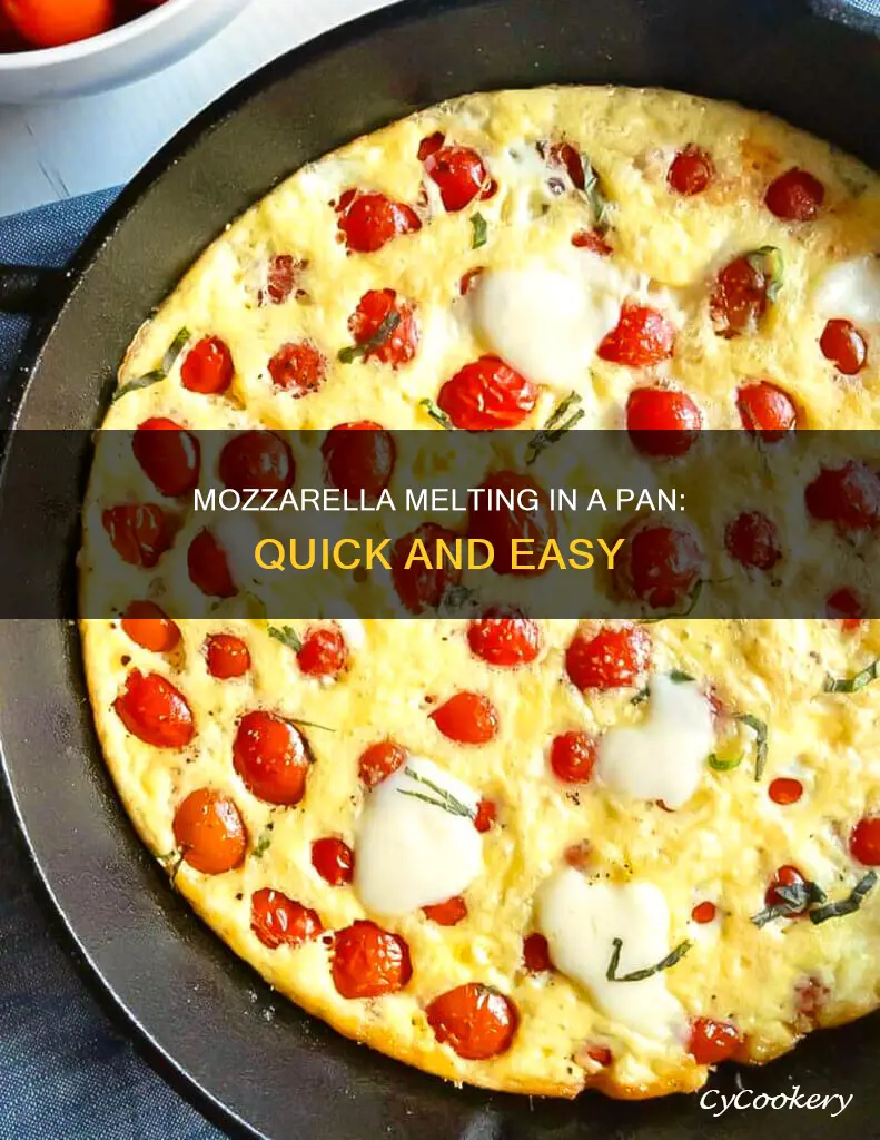 how to melt mozarella in pan