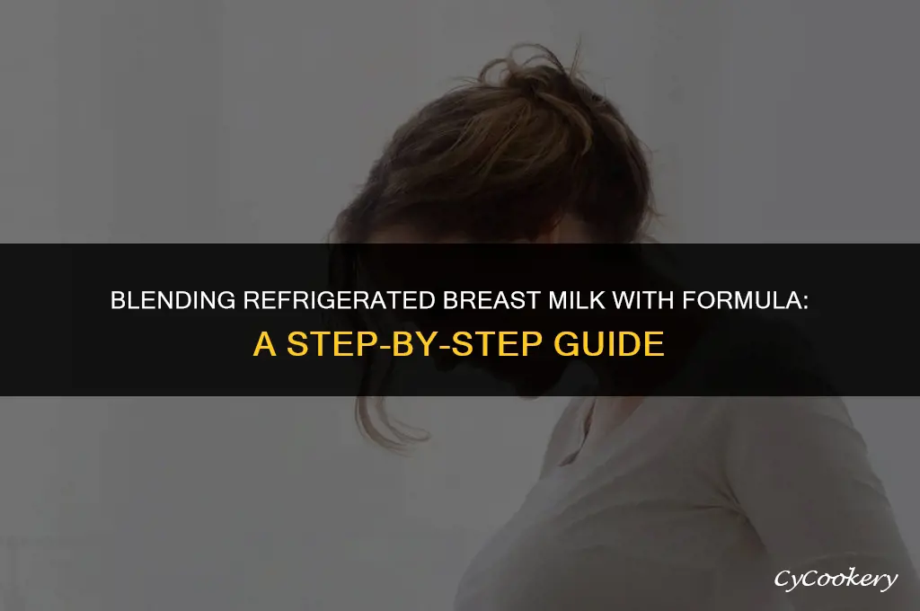 how to mix refrigerated breast milk with formula