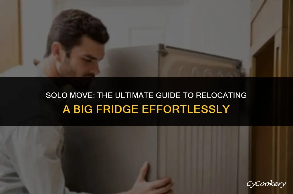 how to move a big refrigerator with one person