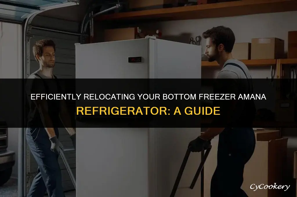 how to move a bottom freezer amana refrigerator