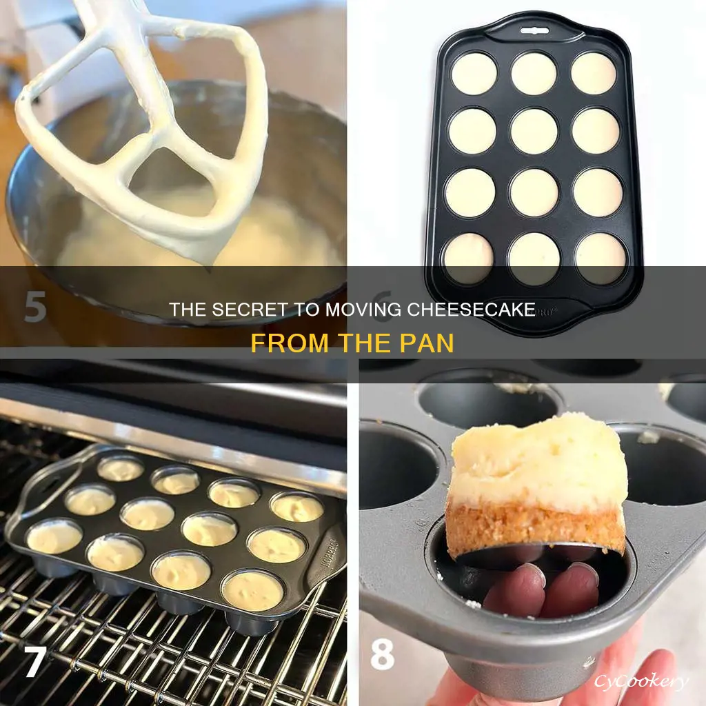 how to move a cheesecake from the pan