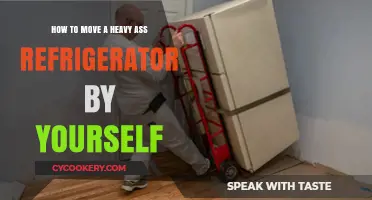 Solo Heavy Lifting: A Guide to Moving Your Refrigerator Safely