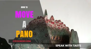 The Ultimate Guide: Moving a Pano Like a Pro