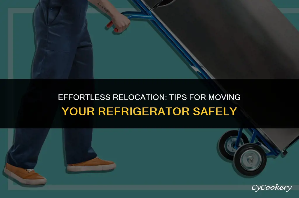 how to move a refrigerator to a new house