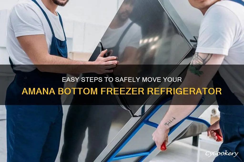 how to move amana bottom freezer refrigerator