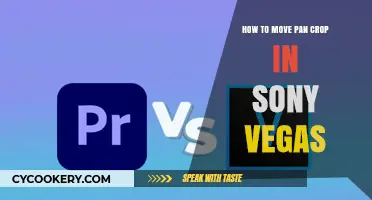 Adjusting Pan, Crop, and Zoom in Sony Vegas