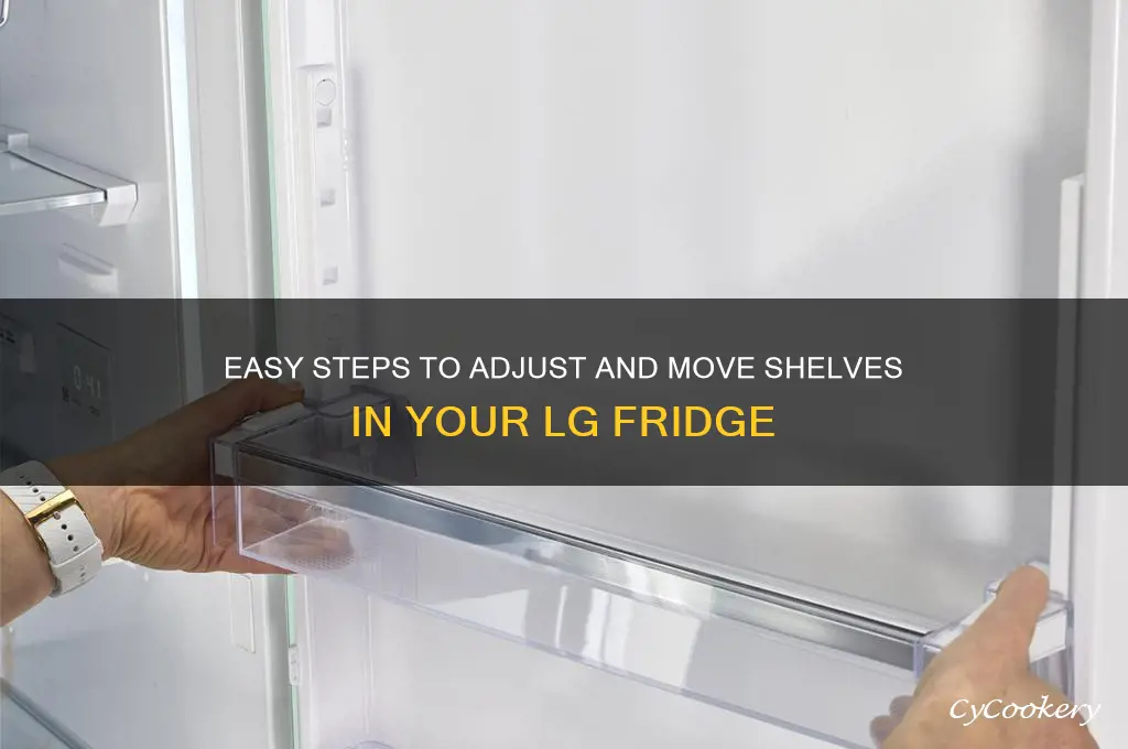 how to move shelves in lg refrigerator