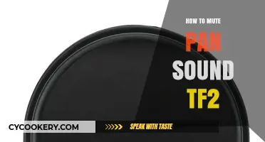 Muting Pan Sound in TF2: A Step-by-Step Guide
