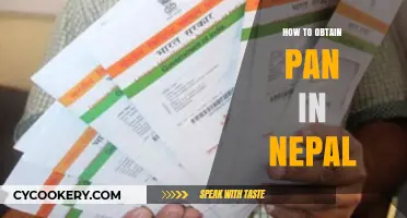 Get Your PAN Card: A Guide for Nepal