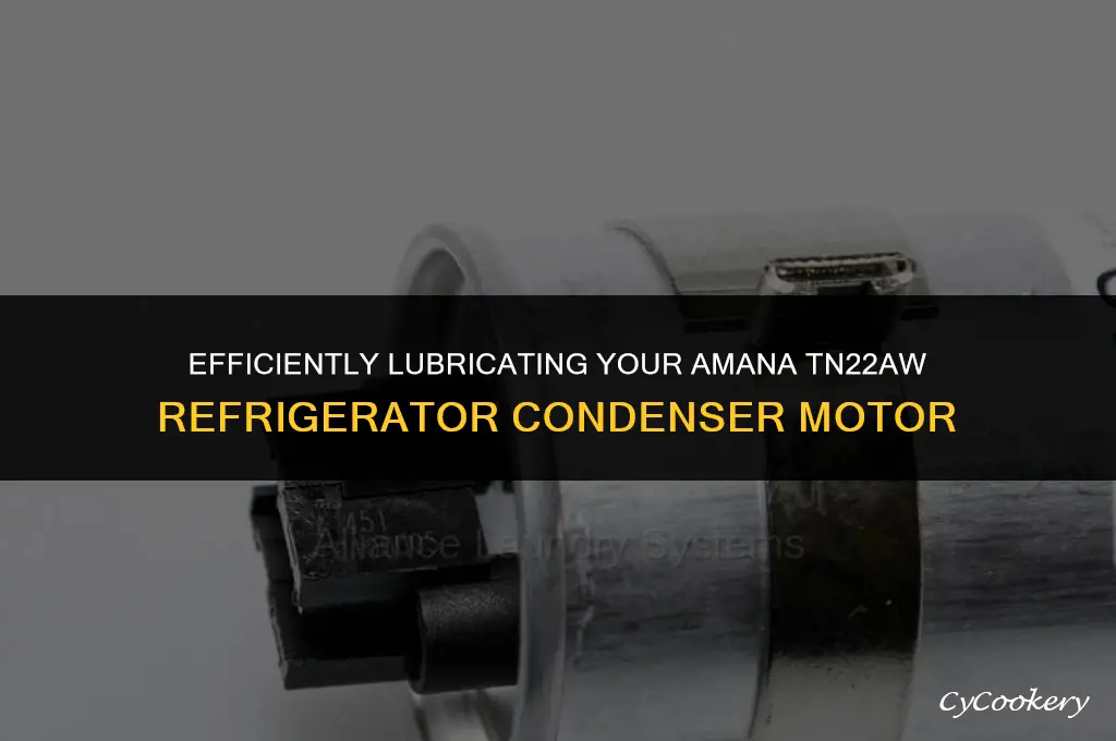 how to oil amana tn22aw refrigerator condenser motor