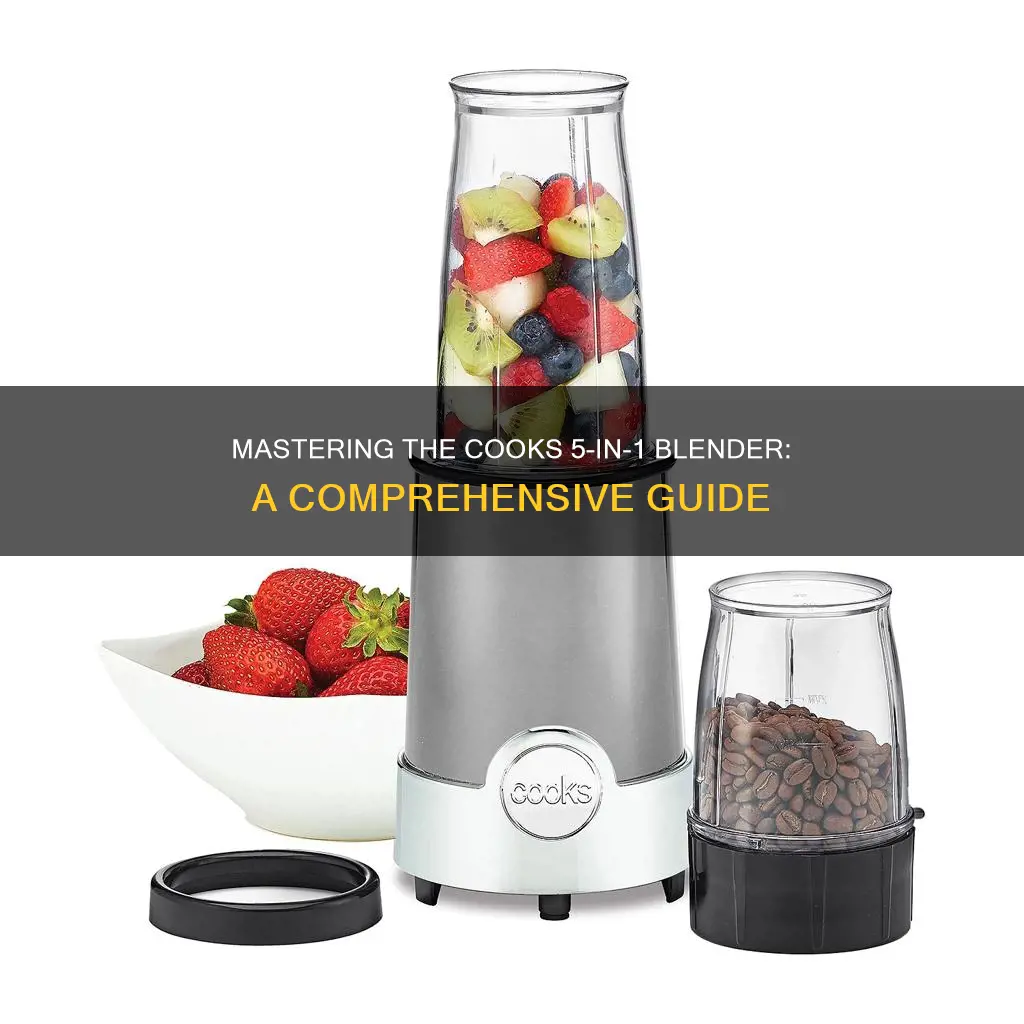 how to on cooks 5 in1 blender