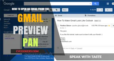 Quick Guide: Accessing Emails from Gmail Preview