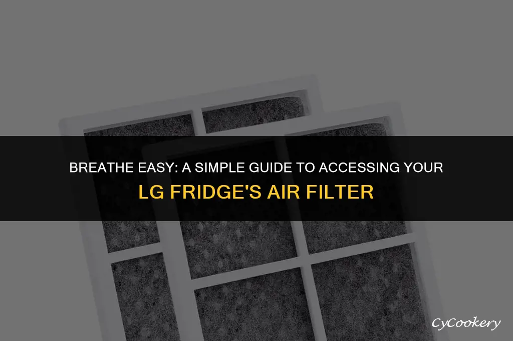 how to open fresh air filter in lg refrigerator
