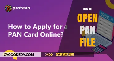 A Simple Guide to Opening a PAN File