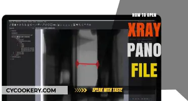 Opening X-Ray Pano Files: A Step-by-Step Guide