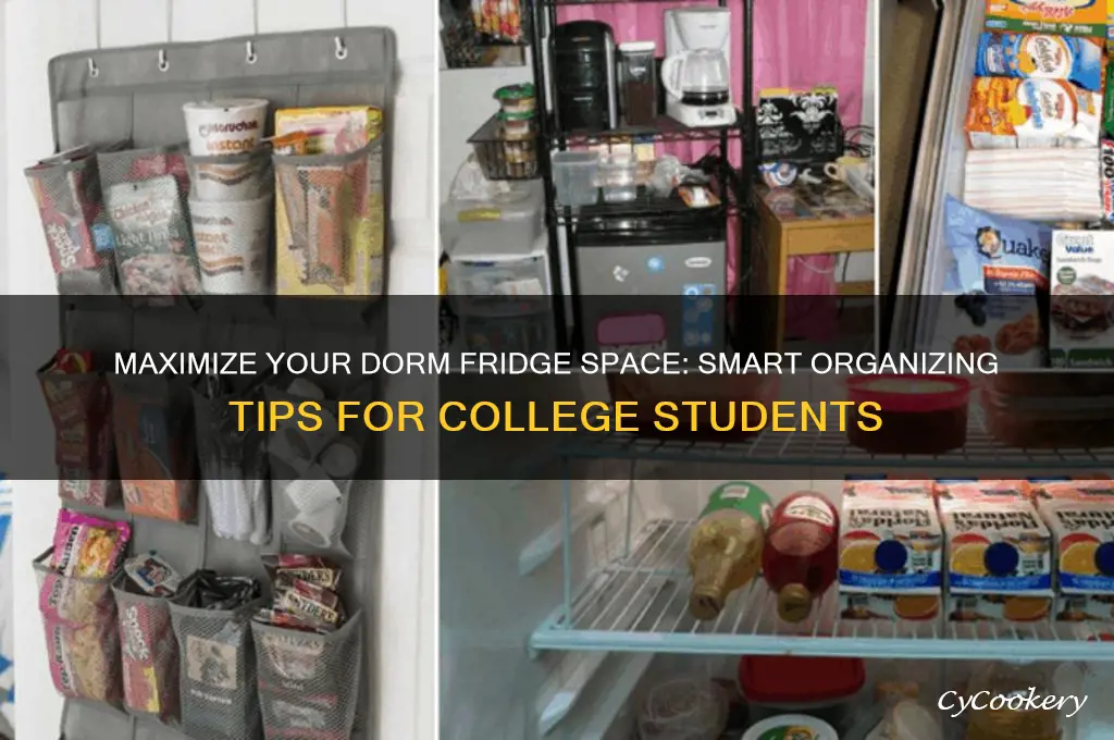 how to organize a dorm size refrigerator