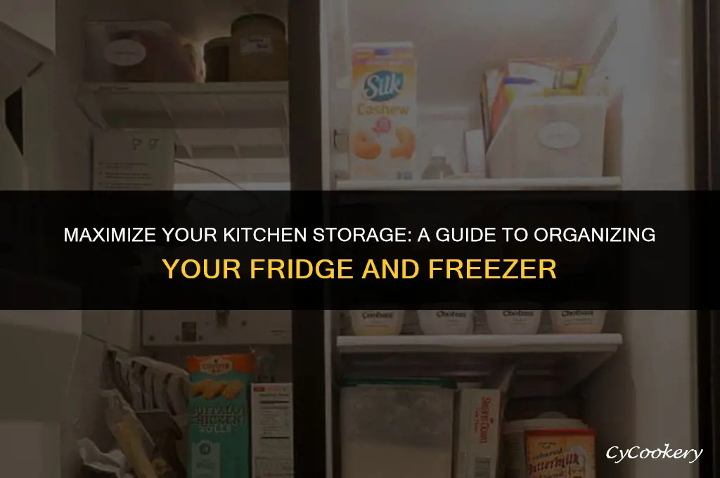 how to organize a refrigerator and a freezer