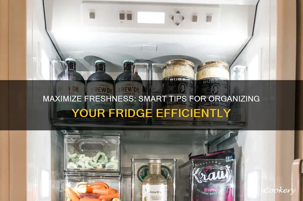 how to organize food in the refrigerator