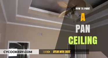 Pan Ceiling Painting: A Step-by-Step Guide