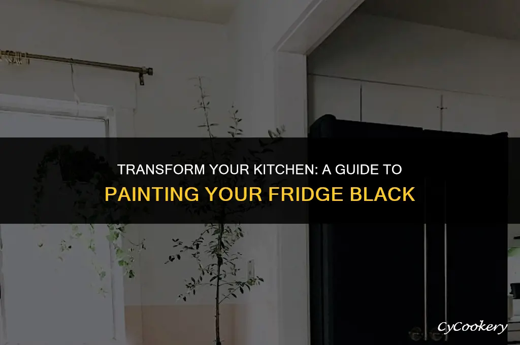 how to paint a refrigerator from white to black