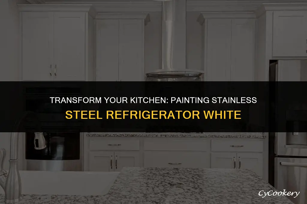 how to paint a stainless steel refrigerator white