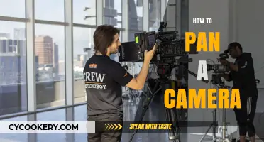 Mastering the Art of Panning Camera Shots