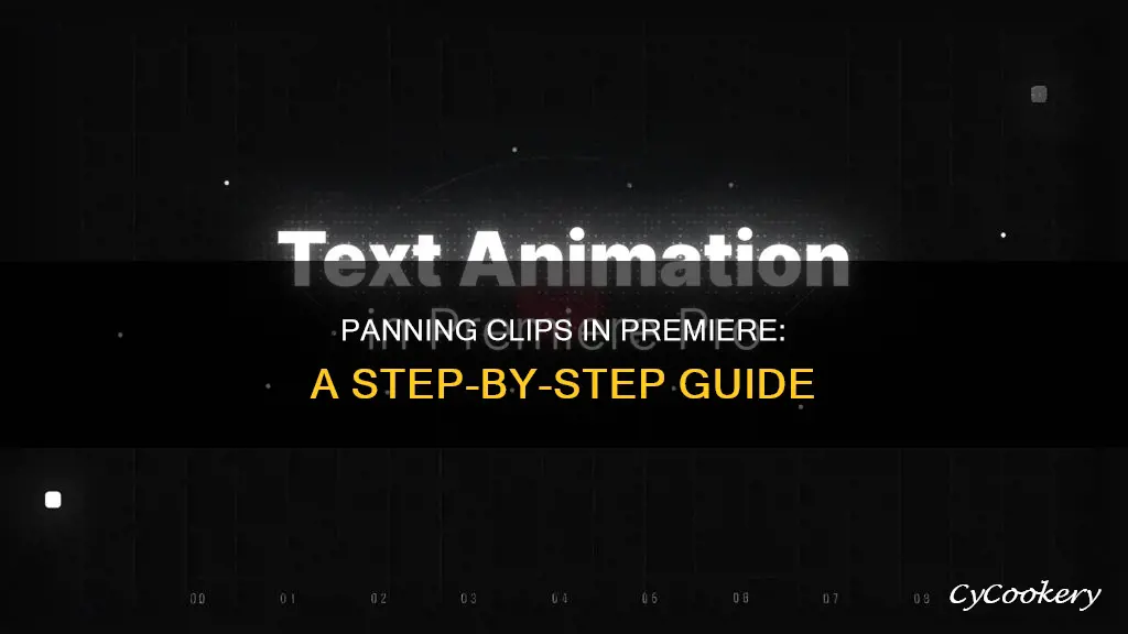 how to pan a clip in premiere