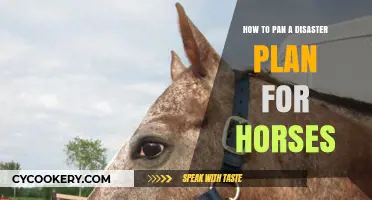 Planning for Equine Emergencies: A Disaster Guide