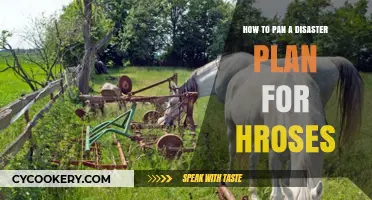 Planning for Equine Emergencies: Strategies for Horse Owners