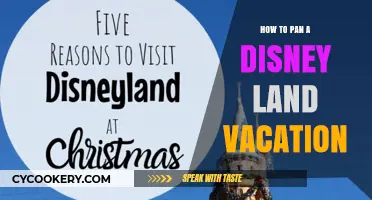Planning a Magical Disney Vacation: Tips for a Perfect Trip