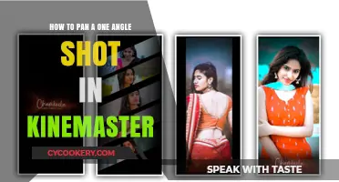 Pan Like a Pro: Mastering One-Angle Shots in Kinemaster