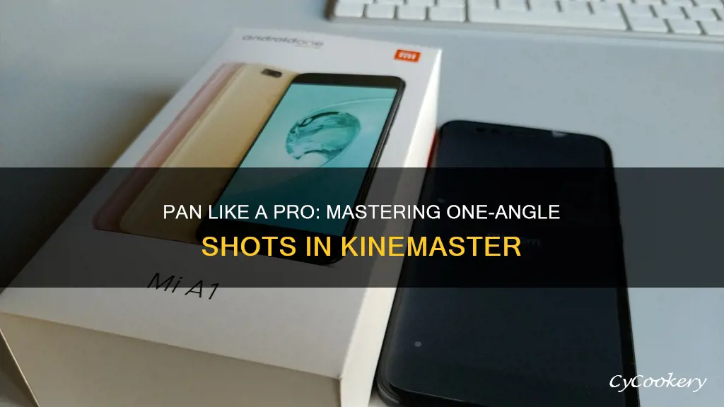 how to pan a one angle shot in kinemaster