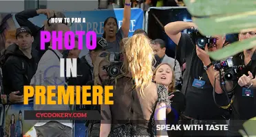 Panning Photos in Premiere: The Ultimate Guide