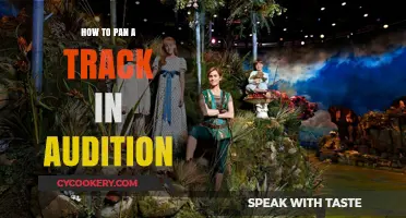 Panning Tracks in Audition: A Beginner's Guide