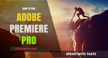 Panning in Adobe Premiere Pro: Easy Tricks to Master