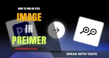 Panning Images in Premiere: Easy Tricks and Techniques