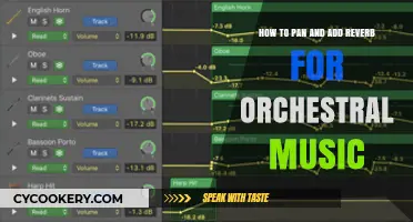 Orchestral Panning and Reverb: Techniques for a Richer Sound