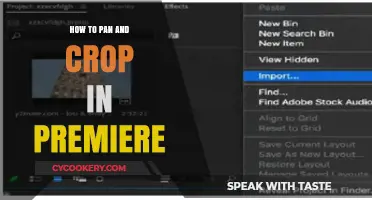 Pan and Crop in Premiere: Essential Editing Techniques