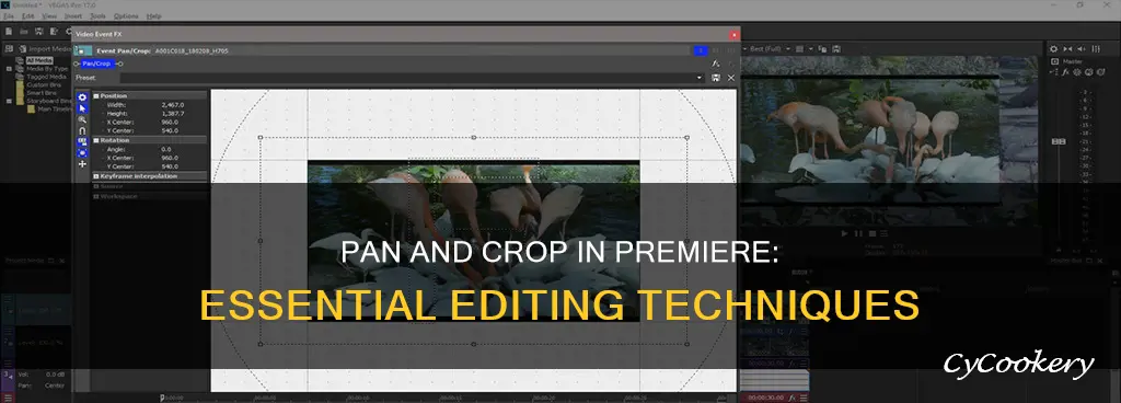 how to pan and crop in premiere