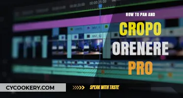 Perfectly Pan and Crop Your Videos Like a Pro